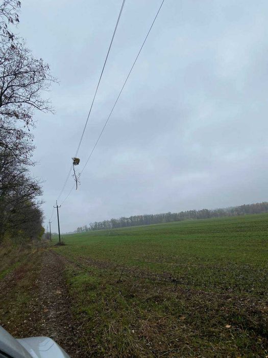Земельна ділянка 9,25 га, Канівське водосховище (садівництво)