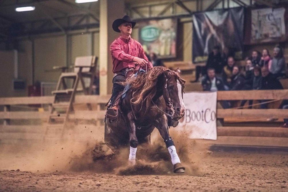 Ogierek 1,5 roku APH American Paint Horse