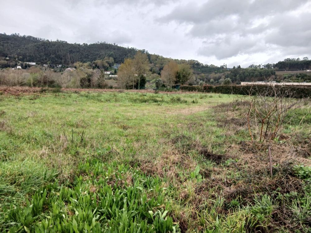 Terreno em Barbudo (Vila Verde) - PREÇO SOB SONSULTA