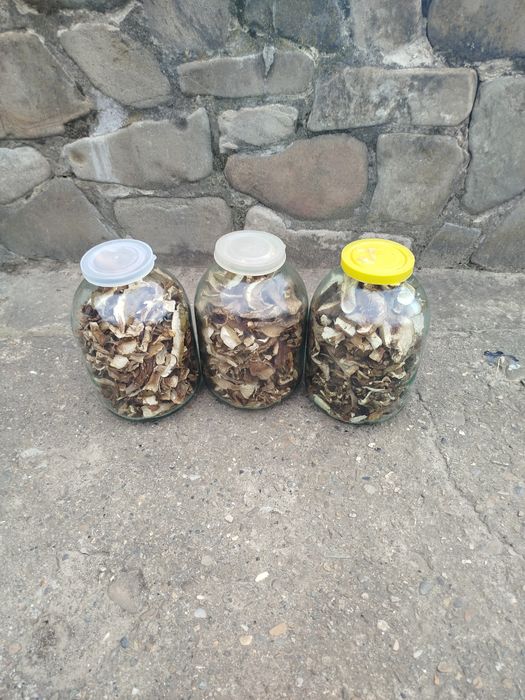 Сушені білі гриби