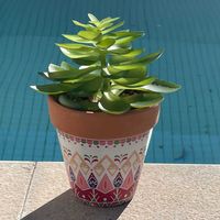 Vaso de ceramica impresso com planta suculenta artificial