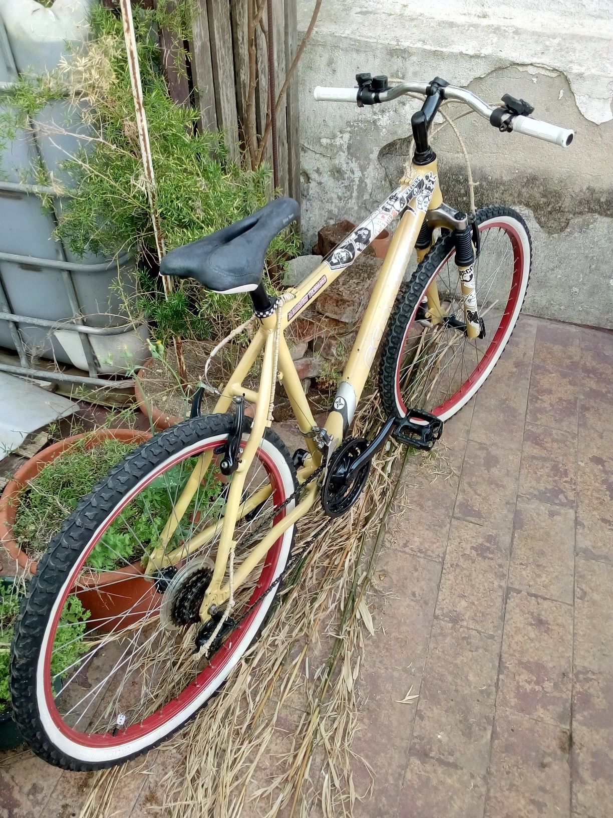 Bicicleta Cruiser Beach