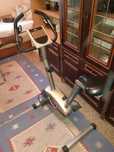 Rower treningowy magnetyczny