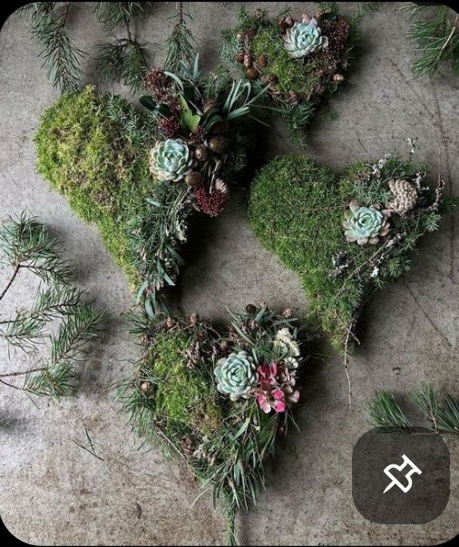 Zestaw serc z naturalnego mchu z  sukulentami