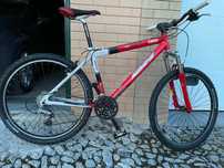 BH coronas team quadro M