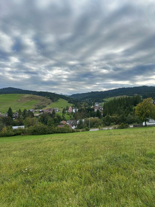 Działka z widokiem na Tatry i Trzy Korony