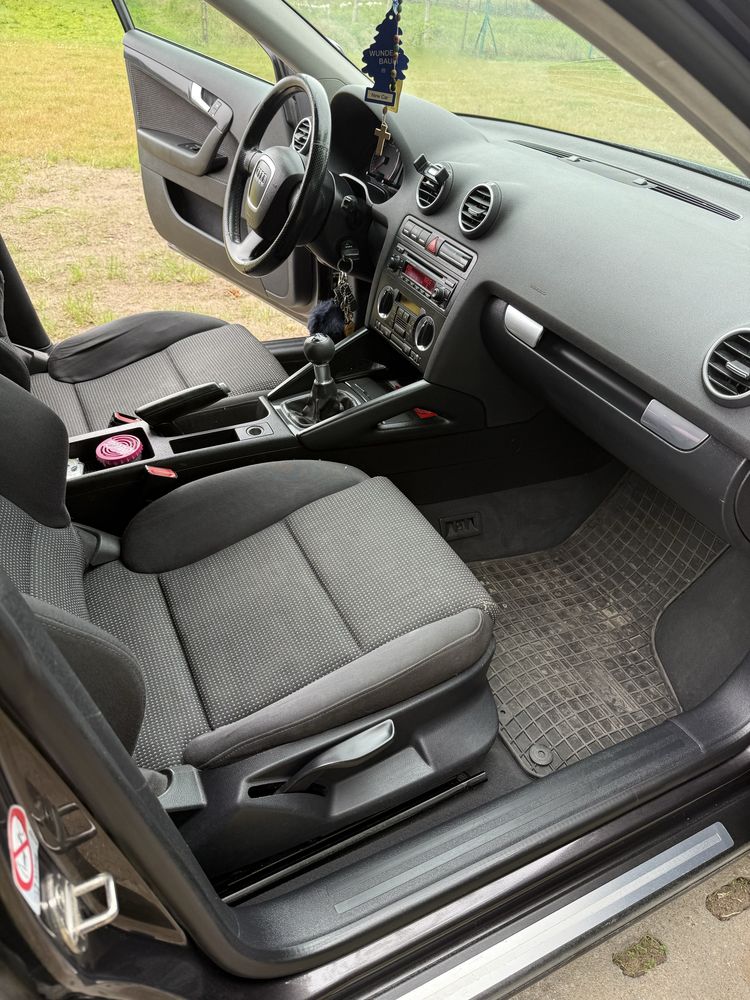Audi A3 8P 2.0TDI