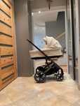 Cybex Balios S Lux 2.0 2024 3w1 Seashell Beige+Bezpieczny fotelik.