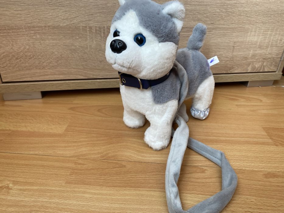 Собачка на повідку музична