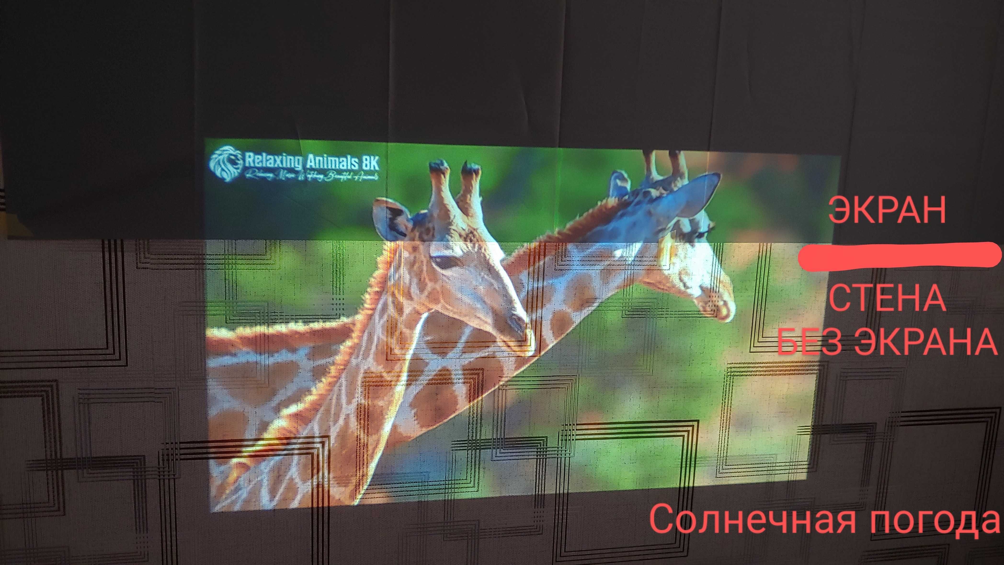 Экран Проэктора 80 Дюймов 1,8м х 1м Отличное изображение, Цвет Новый