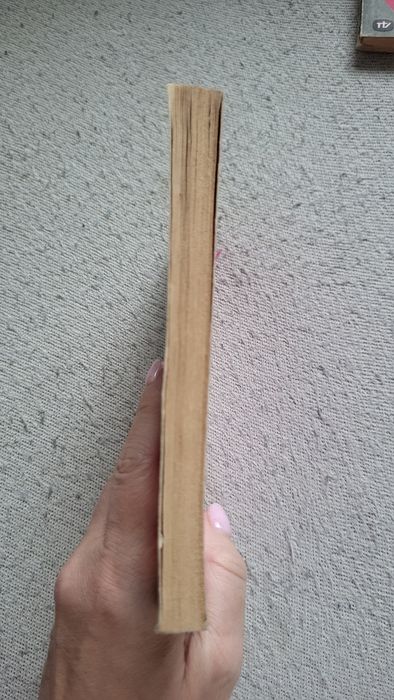 Dymitr Możajeff Wróciłeś by zginąć