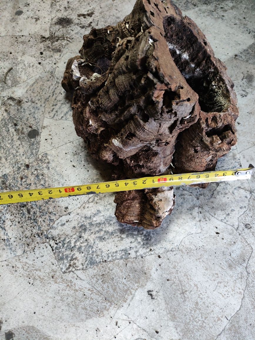 Tuby korkowe do terrarium dla pytona ptasznika gekona aranżacji