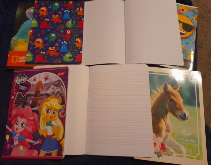 Zestaw 16 kartkowych zeszytów