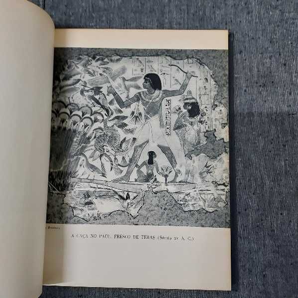 Élie Faure-História da Arte-5 Volumes-Estúdios Cor-1949