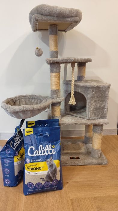 Drapak dla kota Feandrea + żwirek Calitti