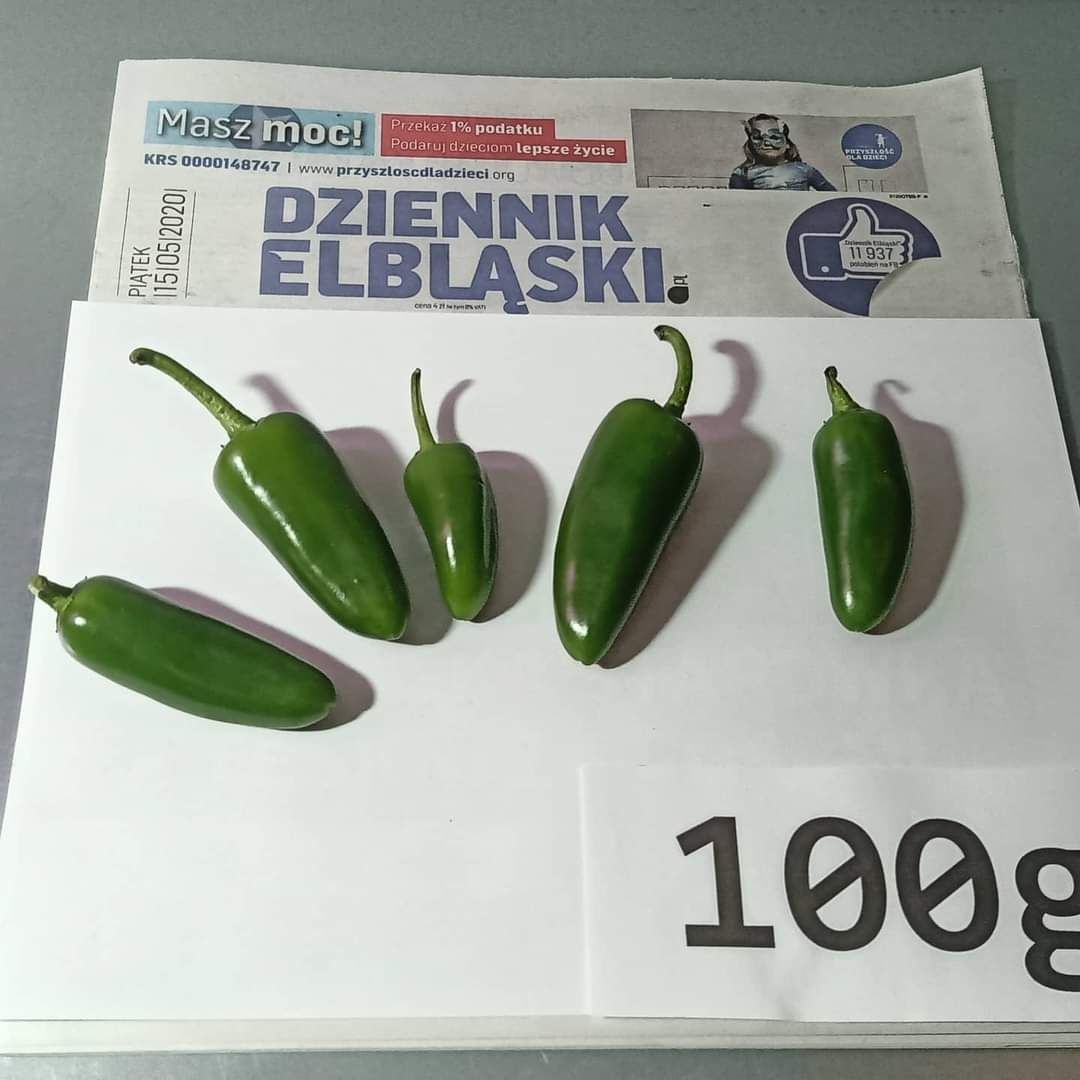 Nasiona Carolina Reaper Red 10szt. i inne