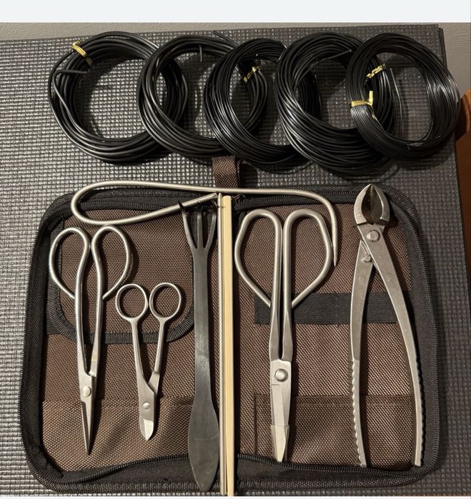 Bonsai Ficus + ferrramentas + adubo tudo: 200€