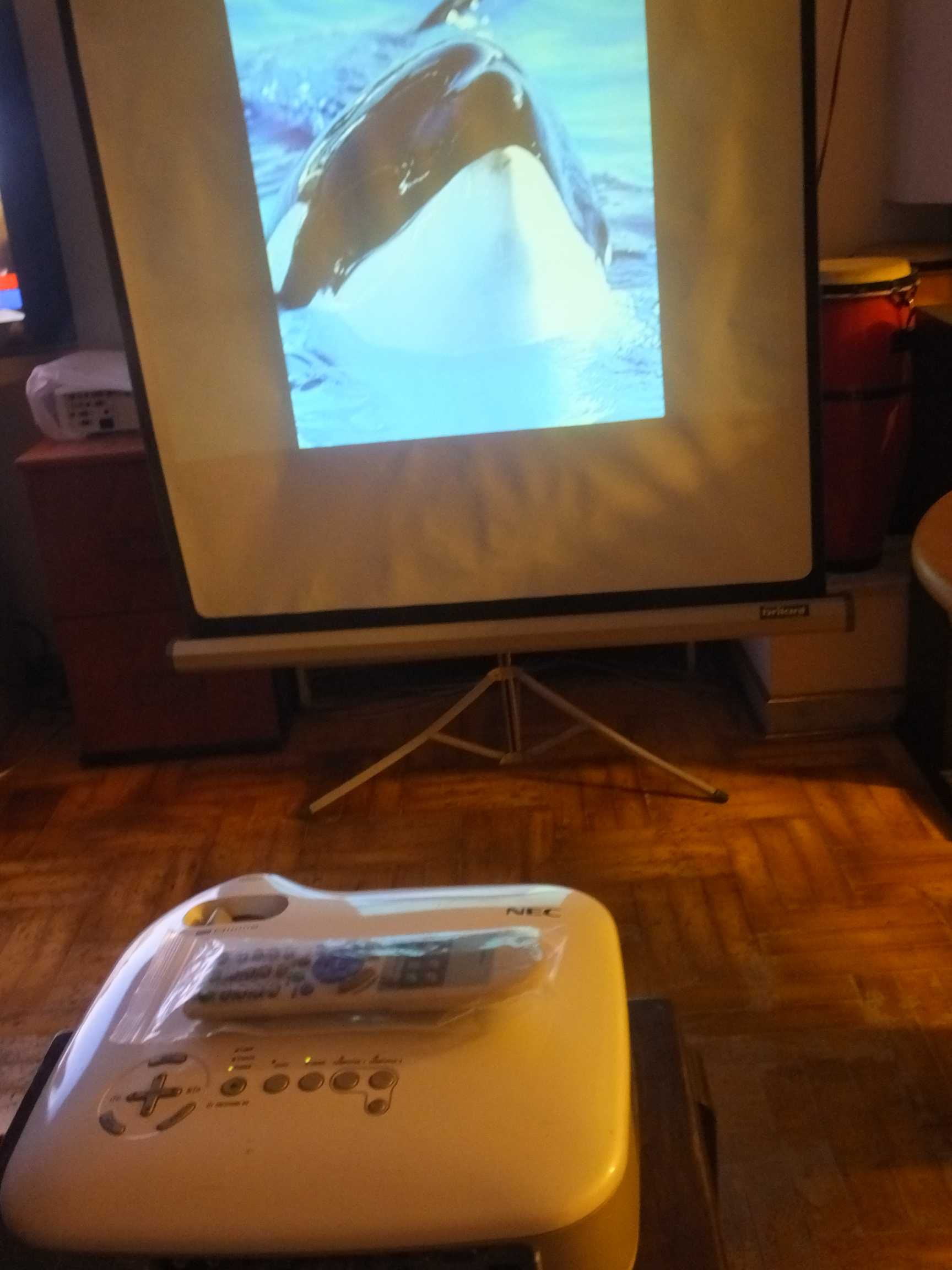 Projektor NEC + DVD