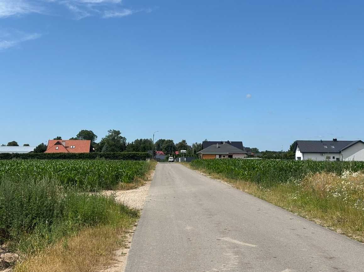 Siedlisko na kolonii, ZASTAWIE