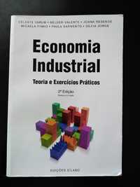 Livro Economia Industrial - Teoria e Exercícios Práticos - Novo