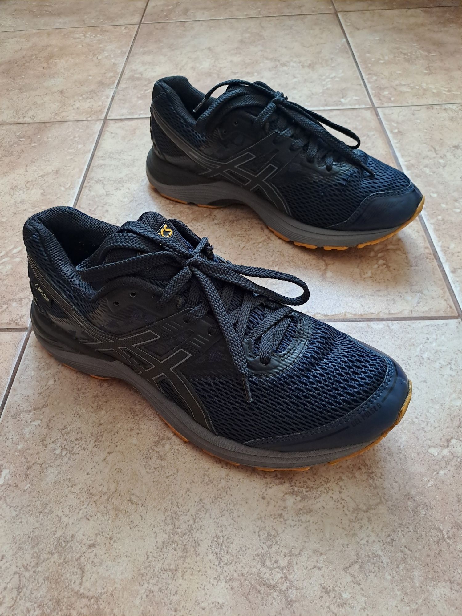 Спортивні кросівки Asics GEL-Pulse 9 GORE-TEX