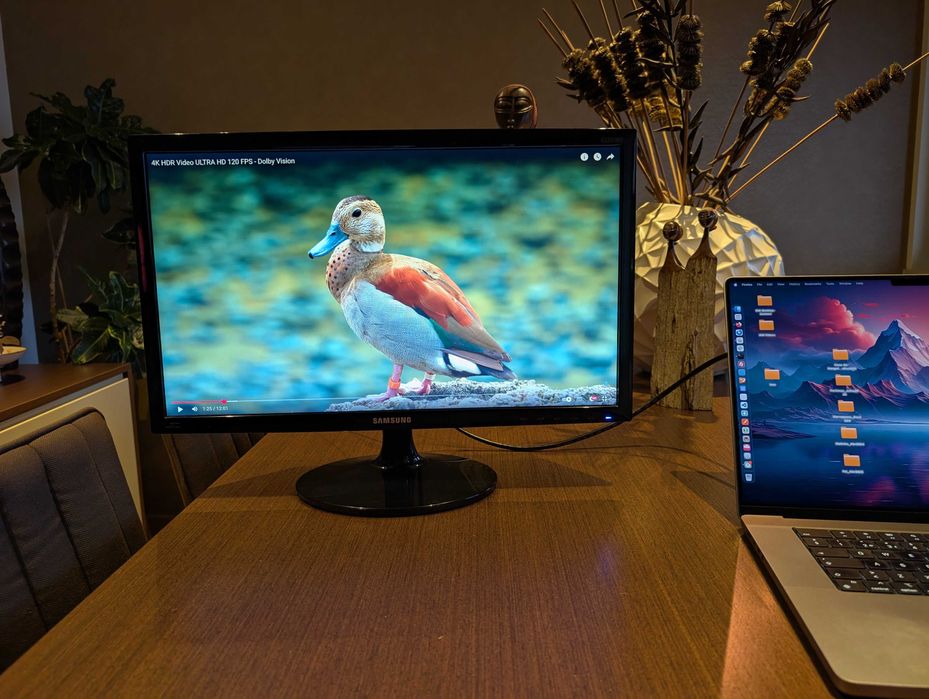 Monitor Samsung S22D300HY LED Full HD 21.5" Black