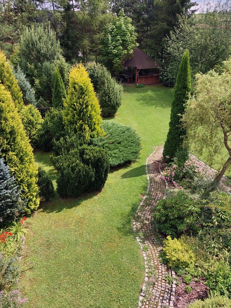 Willa Maciejka Trybsz Białka Tatrzańska apartamenty weekend wakacje