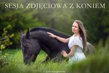 Sesja zdjęciowa z koniem. Koń do zdjęć, wynajem. Fotografia koni