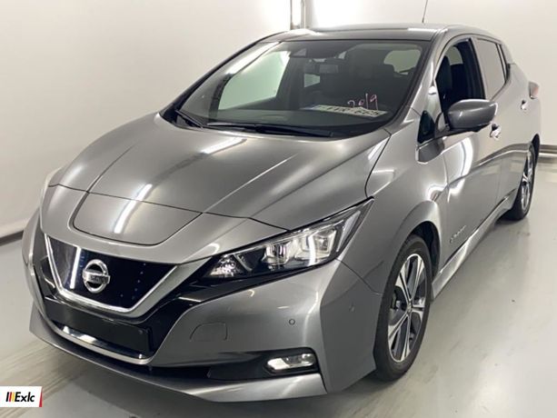 Nissan Leaf 40kw Tekna 2019