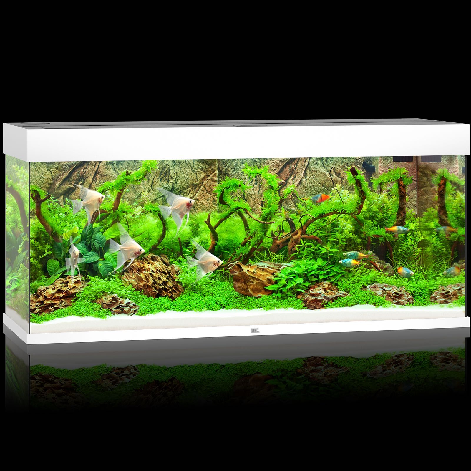 NOWE Akwarium Juwel Rio 240 LED, zestaw akwariowy