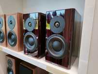 Dynaudio Special 40 śliczne
