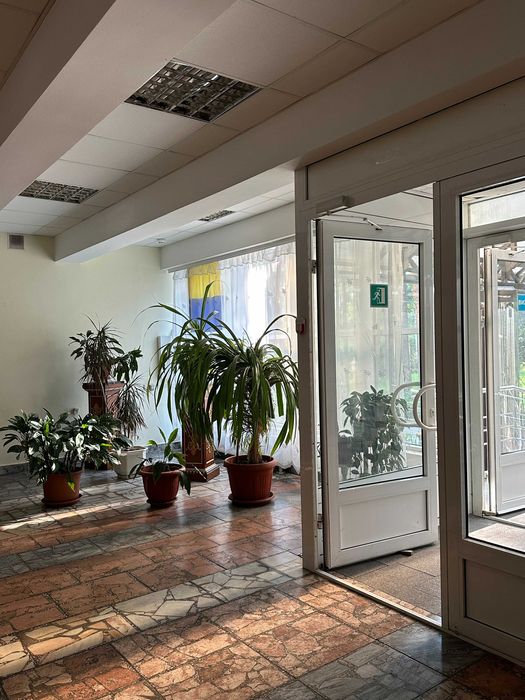 Будиночок у сосновому лісі біля Києва з мангалом і альтанкою