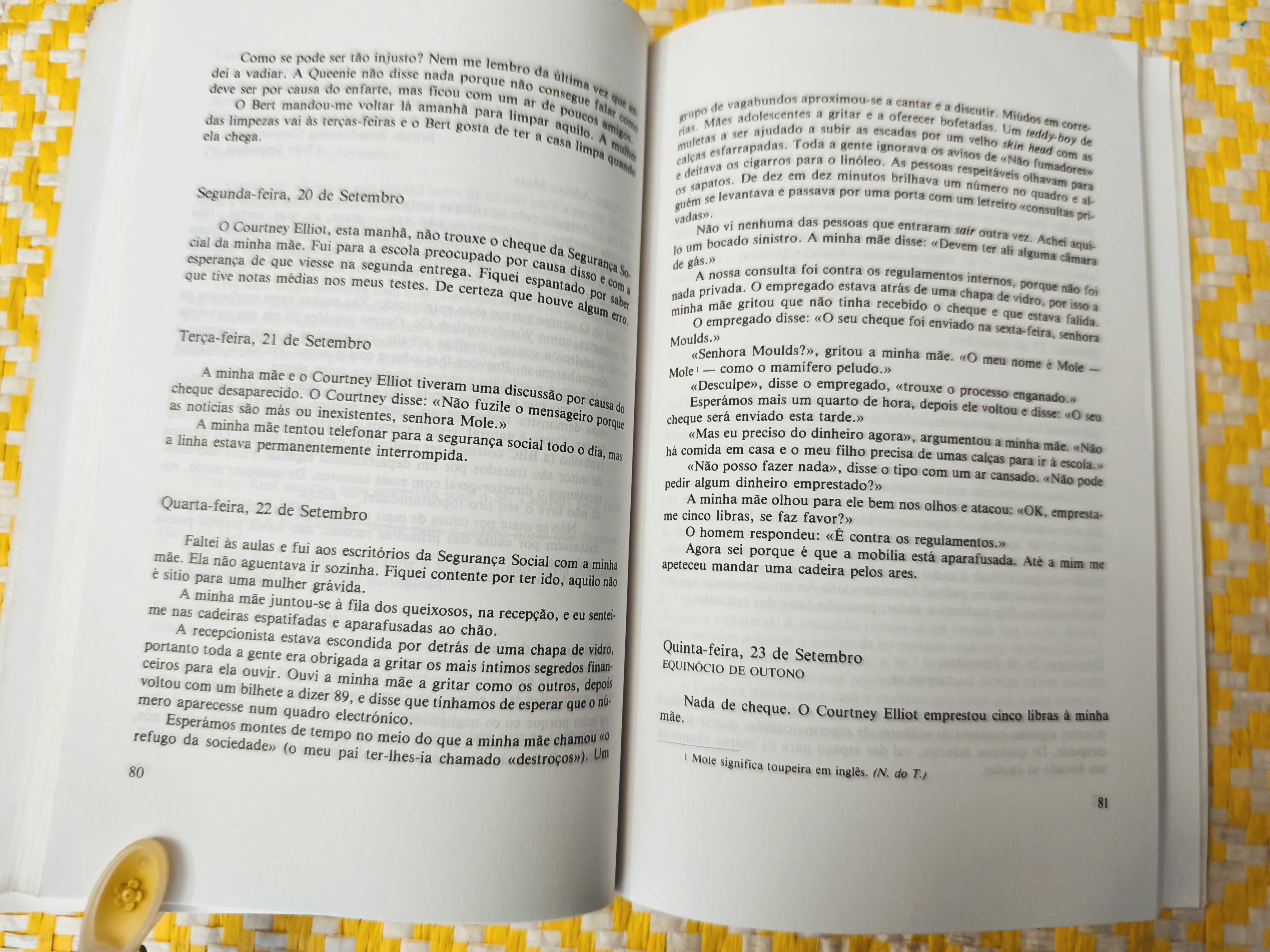 Adrian Mole na crise da adolescência – 
Sue Townserd