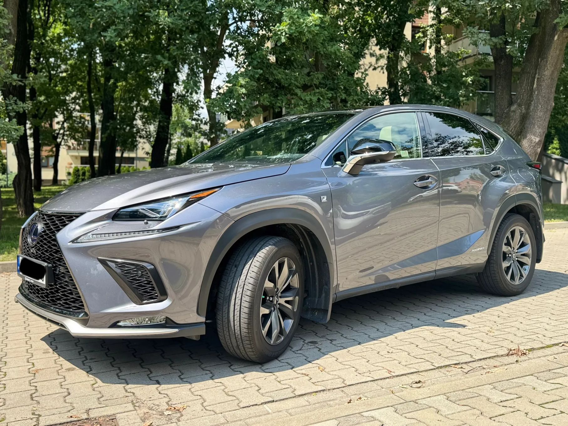 Lexus NX Lexus NX 300 F Sport 2019 IDEAŁ