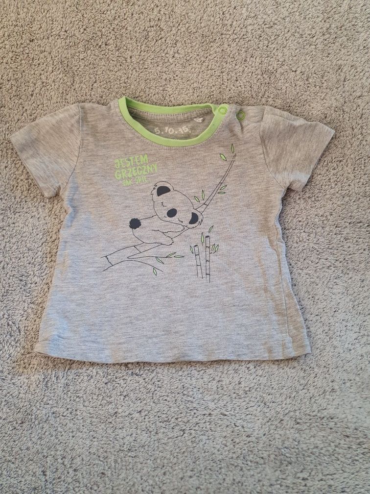 T-shirt, miś koala, 5.10.15, r.68