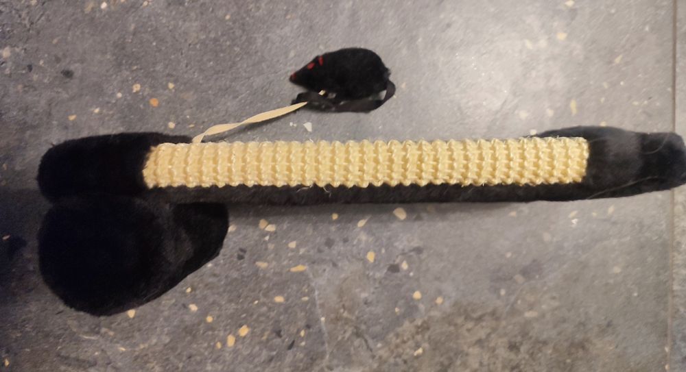 Drapak dla kota do zawieszenia