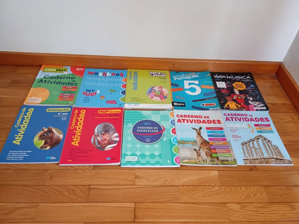 Manuais e livros de fichas/actividades 5ºano