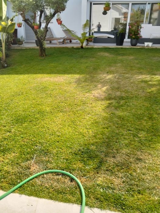 Jardinagem, limpeza de terrenos e serralharia