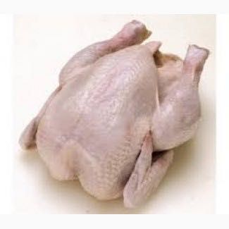 Домашні мʼясо бройлерів