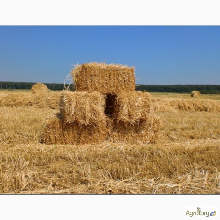 Продам солому в тюках