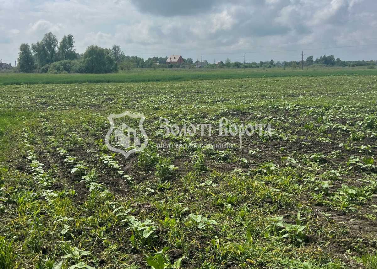 Ділянка під забудову, 25 соток, село Перемога, Баришівський район