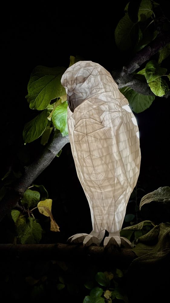 3д ночник с экопластика светильник в виде совы,нічник led,3Д