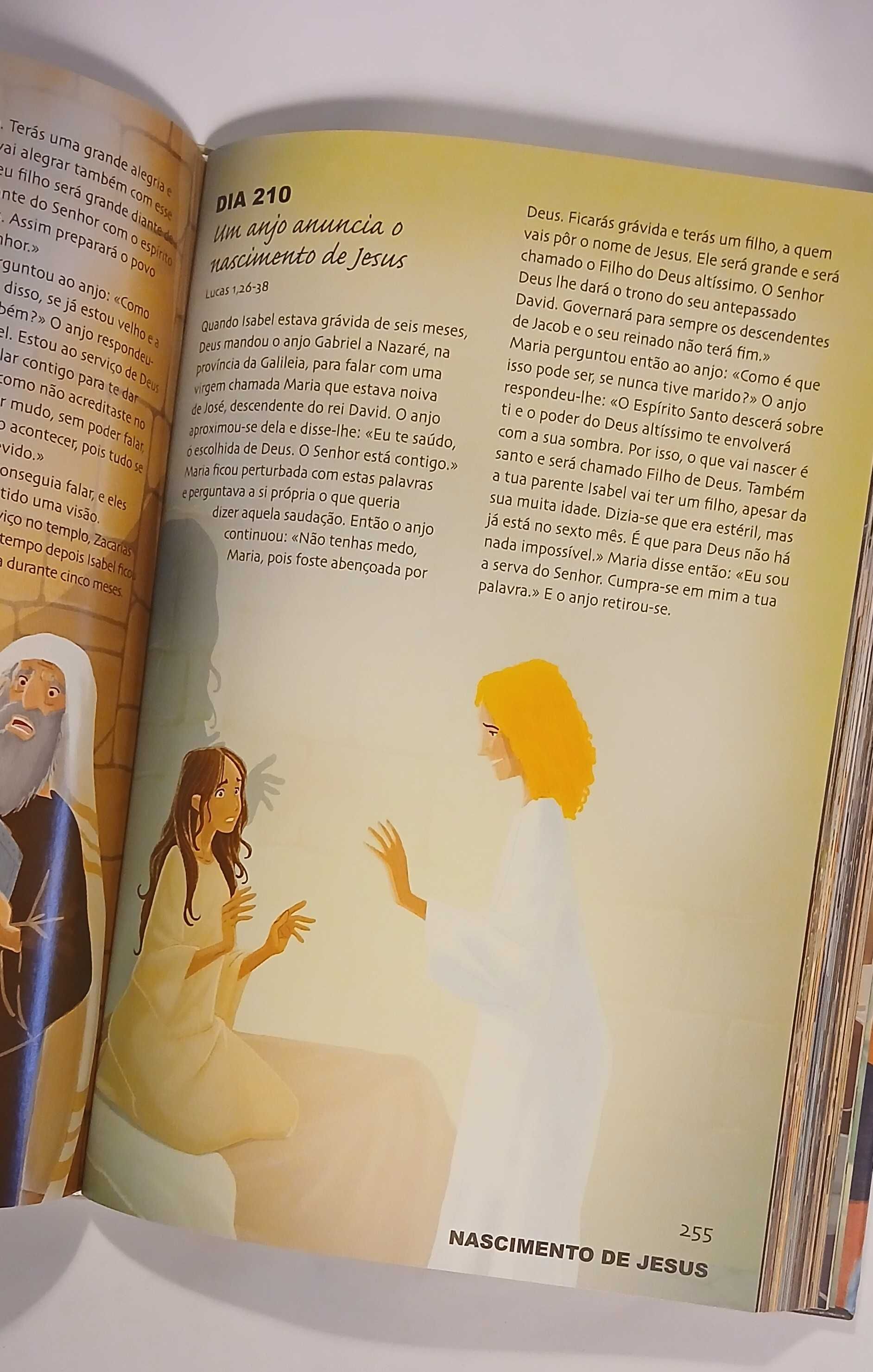 Bíblia - Heróis e Aventuras - 365 histórias (de Ben Alex)