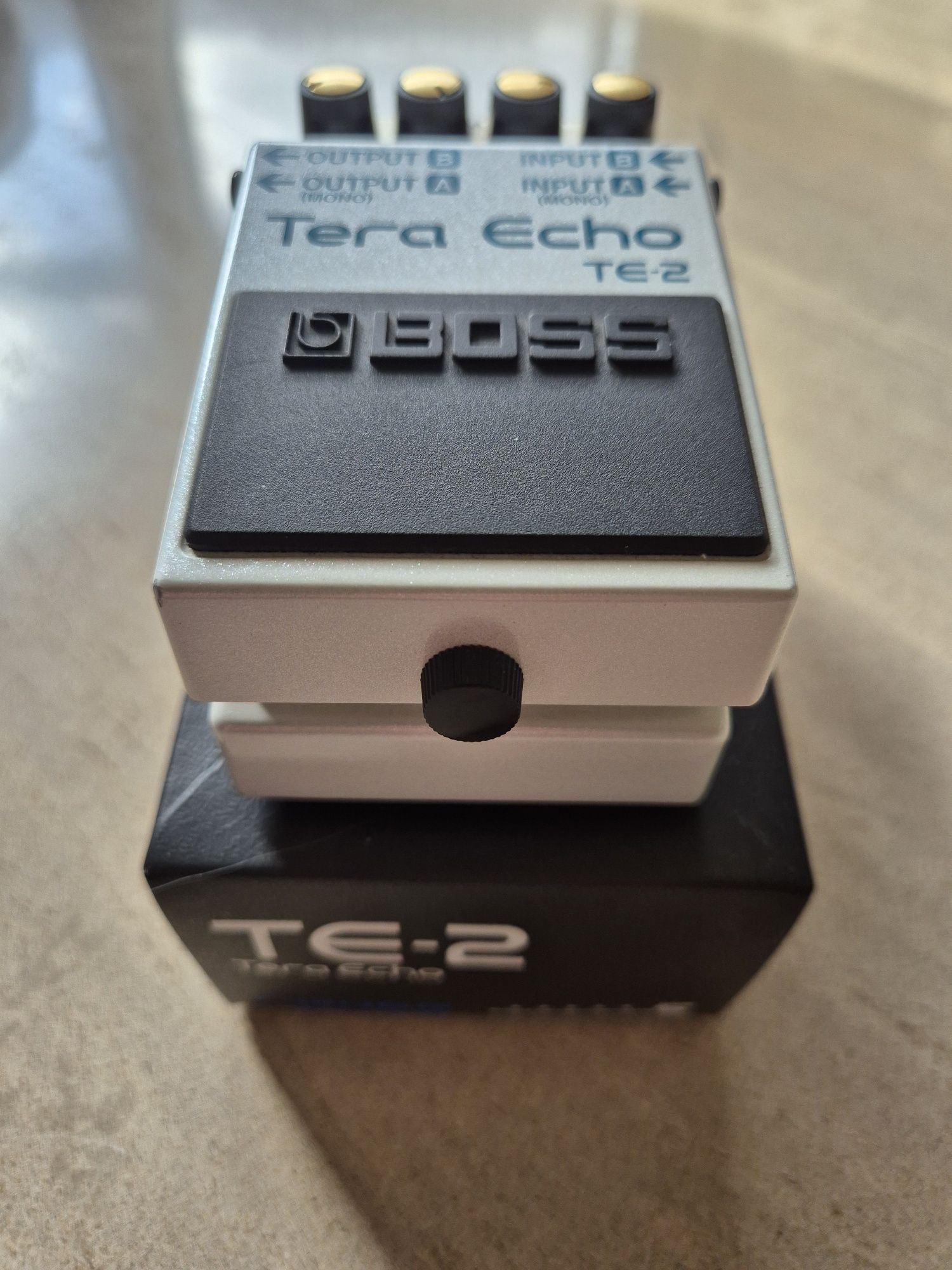 Boss Tera Echo TE-2