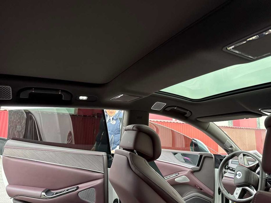 Денза Z9 GT 24г.