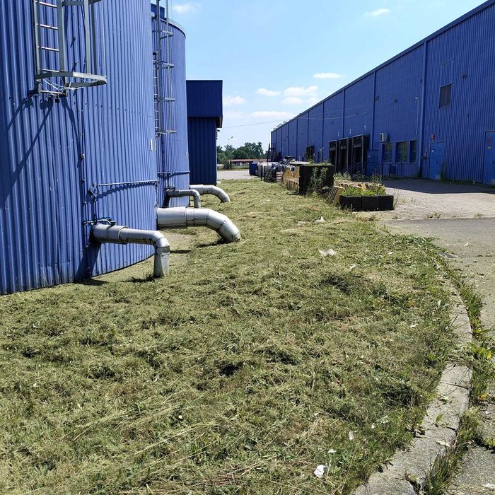 GreenAxe – wycinka drzew i porządkowanie działek