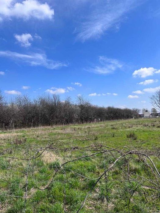 Wynajmę połowę działki/placu przy węźle Warszawa Zachód/A2/STP Mory