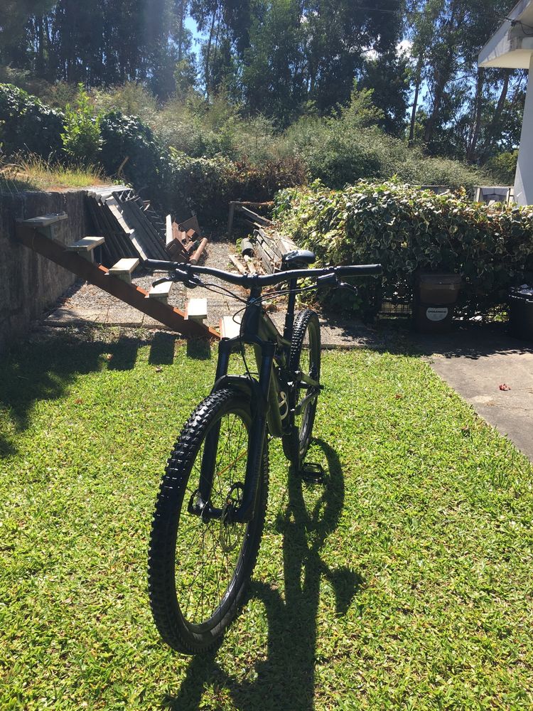Specialized stumpjumper alloy 2024