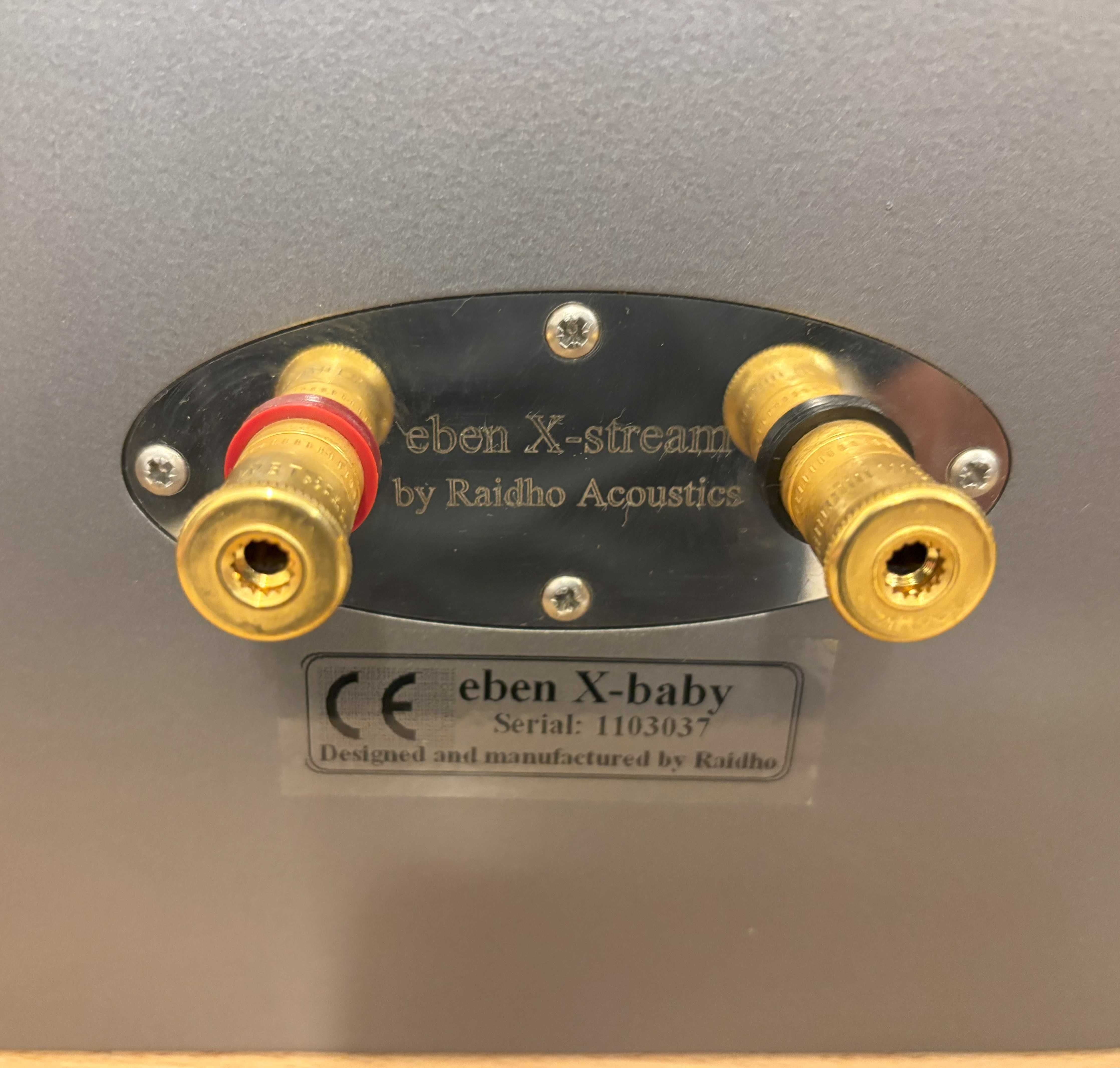 Kolumny podstawkowe/monitory Raidho Acoustics Eben X- Baby