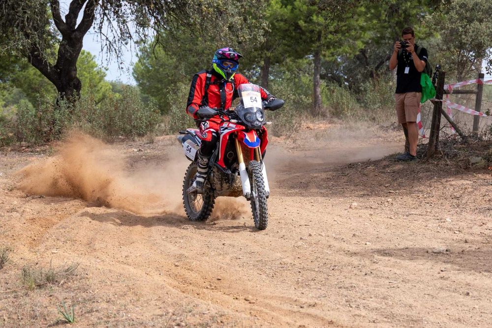 Honda CRF 250 L Rally (ano 2019)